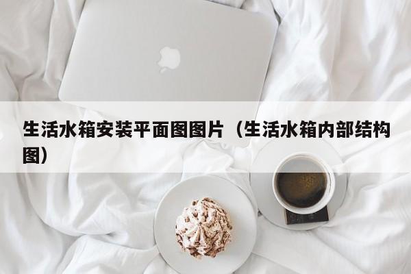 生活水箱安装平面图图片（生活水箱内部结构图）