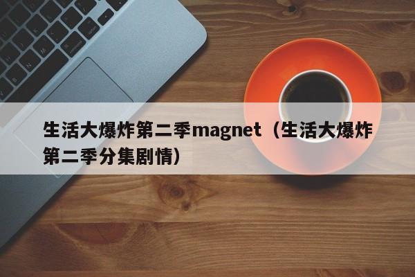 生活大爆炸第二季magnet（生活大爆炸第二季分集剧情）