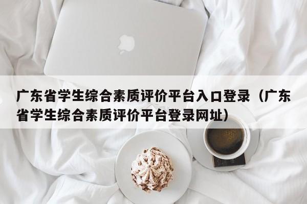 广东省学生综合素质评价平台入口登录（广东省学生综合素质评价平台登录网址）