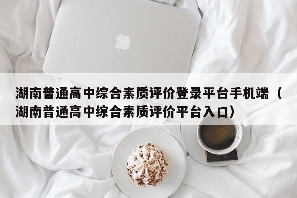 湖南普通高中综合素质评价登录平台手机端（湖南普通高中综合素质评价平台入口）