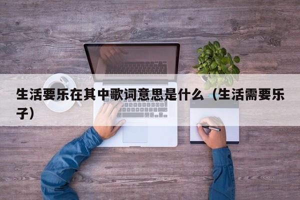 生活要乐在其中歌词意思是什么（生活需要乐子）