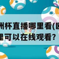 电脑欧洲杯直播哪里看(欧洲杯直播：哪里可以在线观看？)