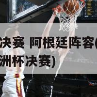 欧洲杯决赛 阿根廷阵容(阿根廷出征欧洲杯决赛)