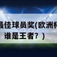 欧洲杯最佳球员奖(欧洲杯最佳球员揭晓：谁是王者？)