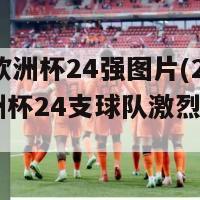 2024欧洲杯24强图片(2024欧洲杯24支球队激烈角逐图赏)